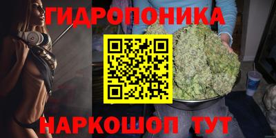 ECSTASY Донецк