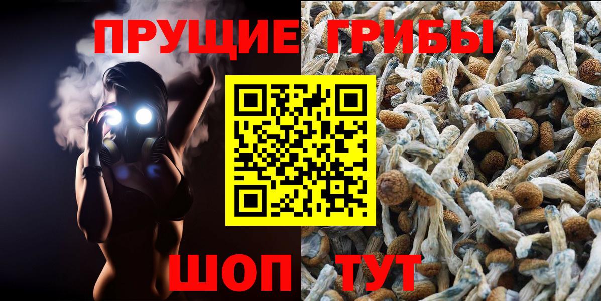 закладка  Псилоцибиновые грибы Psilocybe  Вход с VPN  Курчалой  Псилоцибиновые грибы Magic Shrooms 