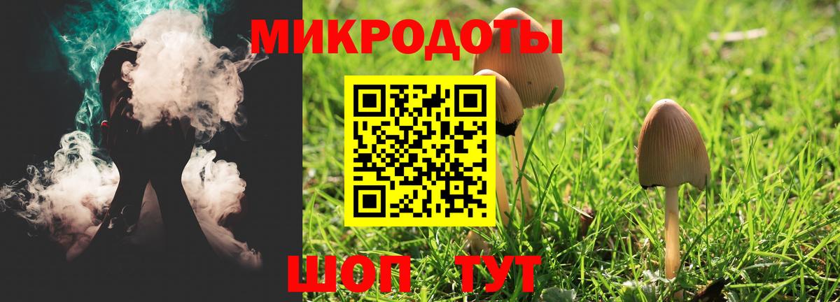 Галлюциногенные грибы мицелий Курчалой