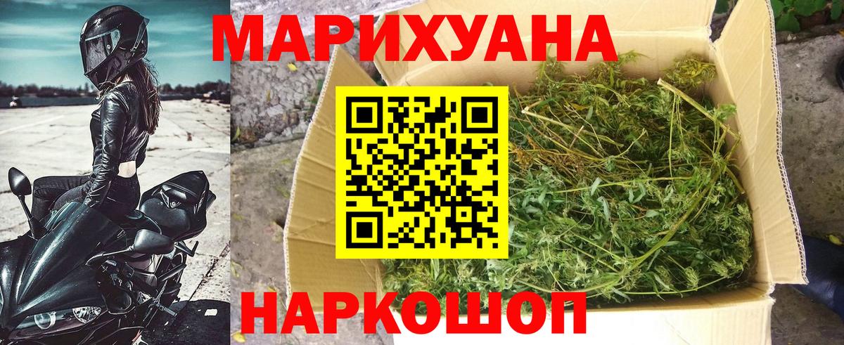 Конопля марихуана Курчалой